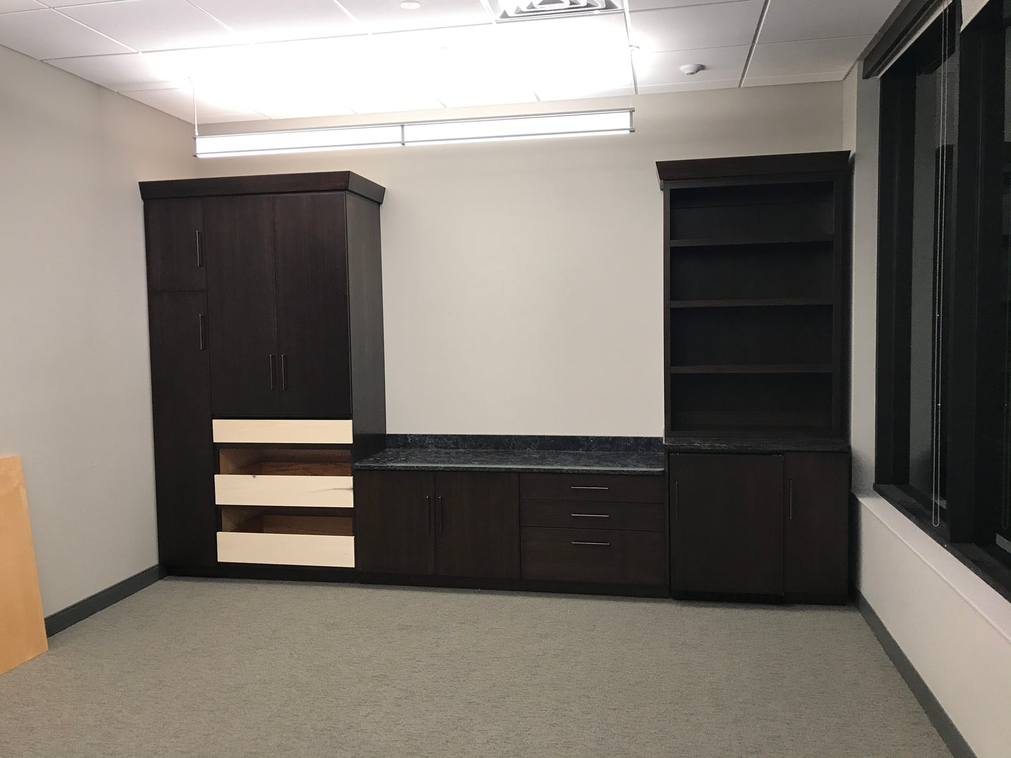 Custom Office and Built Ins